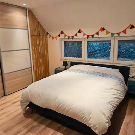 Villa Maison Familiale 200m2 15min Du Centre Souffelweyersheim
