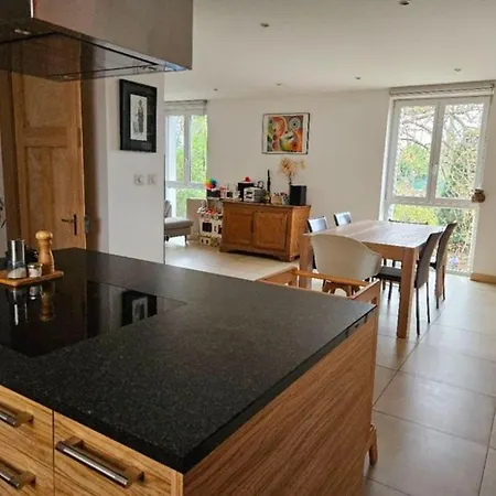 Villa Maison Familiale 200m2 15min Du Centre Souffelweyersheim